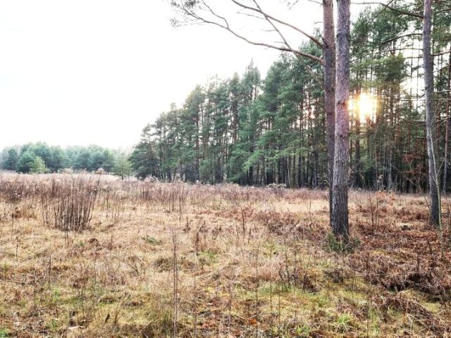 Działka 8 476 m², Jurowce