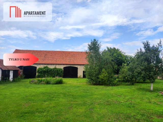 Działka 8 500 m², Lubiel