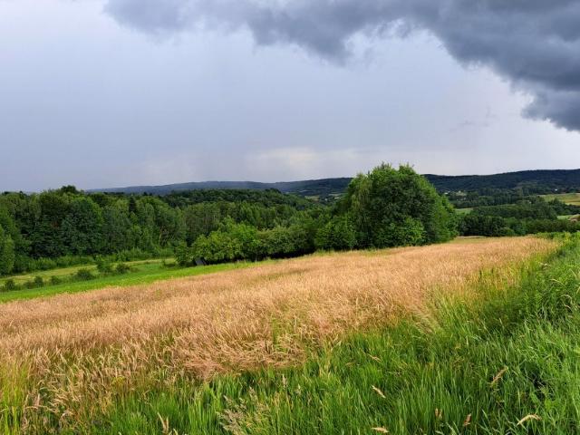 Działka 8 575 m², Sieklówka