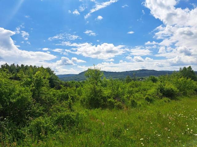 Działka 8 584 m², Duląbka