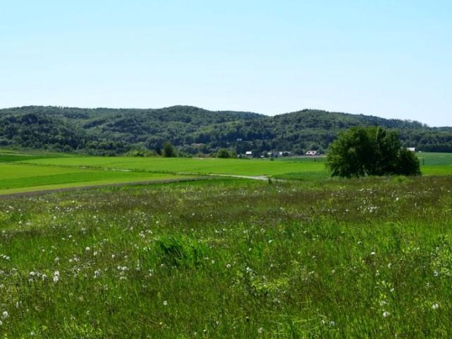 Działka 8 600 m², Brzeziny