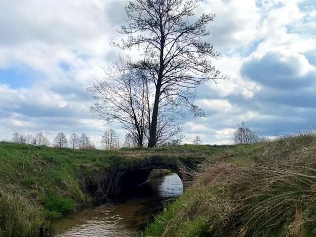 Działka 8 600 m², Wielka Nieszawka