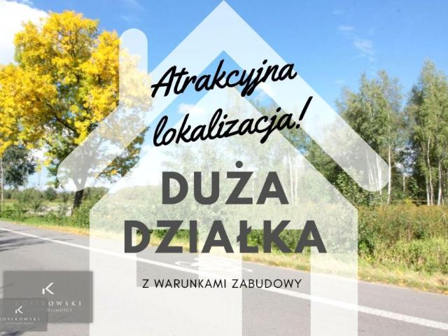 Działka 8 600 m², Wilków