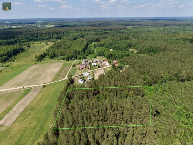 Działka 8 674 m² z lasem i mediami, Horodnianka