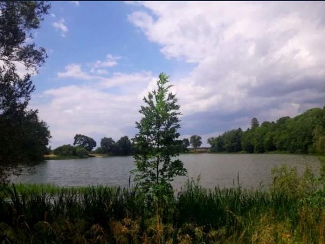 Działka 8 734 m², Tyczewo