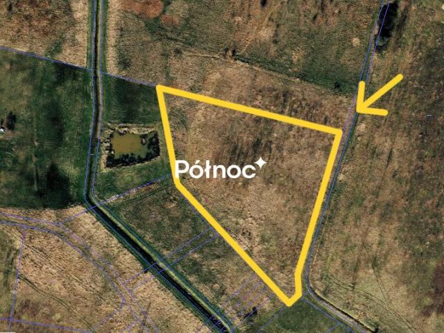 Działka 8 730 m² w Radomsku – zielona okolica, potencjał inwestycyjny