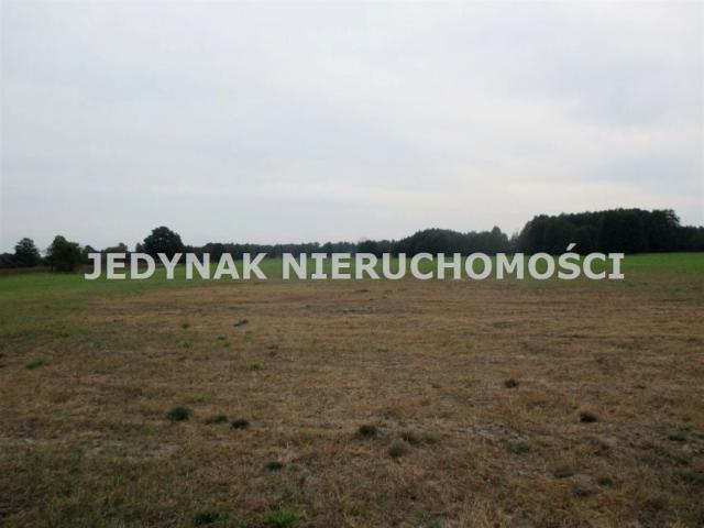 Działka 8 776 m², Kruszyn Krajeński