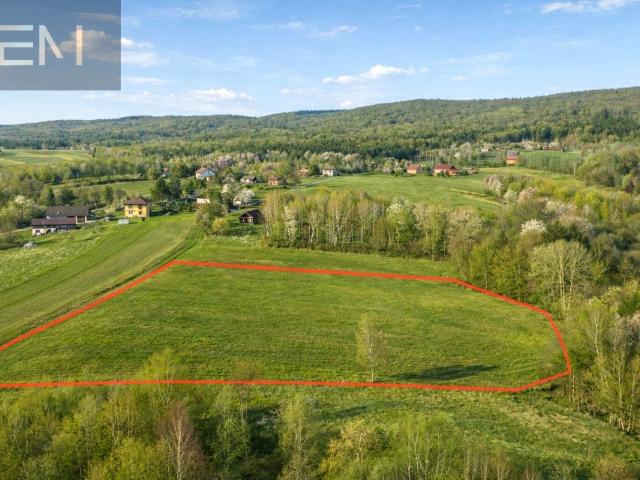 Działka 8 800 m², Huta Gogołowska