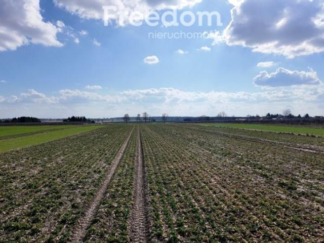 Działka 8 800 m², Świdnik Duży