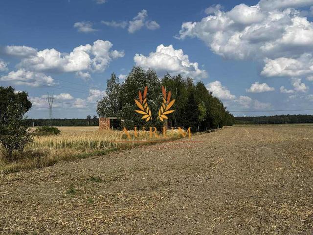 Działka 8 849 m² pod dom z dużym ogrodem, MPZP, Karlin