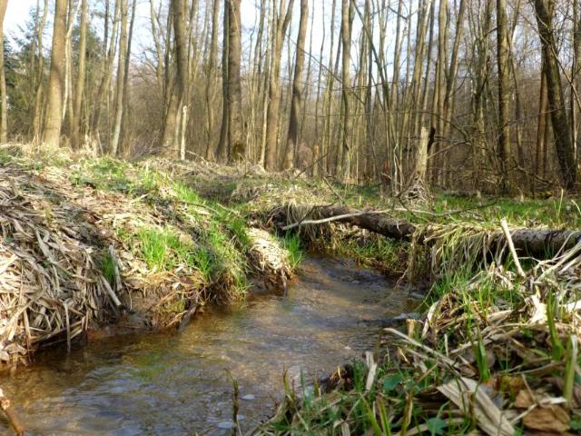 Działka 8 900 m², Brzyczyna