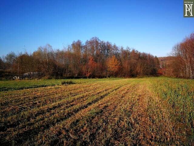 Działka 8 900 m², Lusina