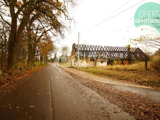Działka 8 900 m², Radzanek
