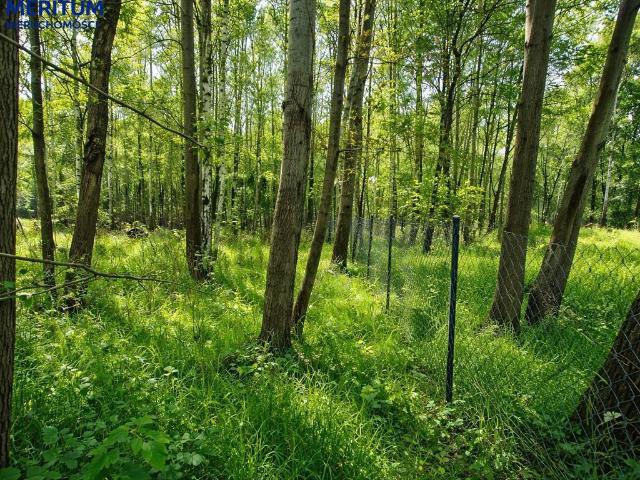 Działka 940 m2 w Owczarni – idealna pod dom i inwestycję