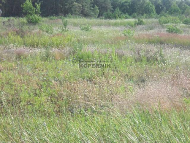 Działka 940 m², Gutowo