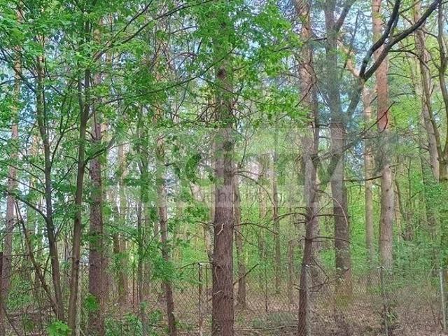 Działka 948 m2 z dostępem do prądu i gazu, ogrodzona