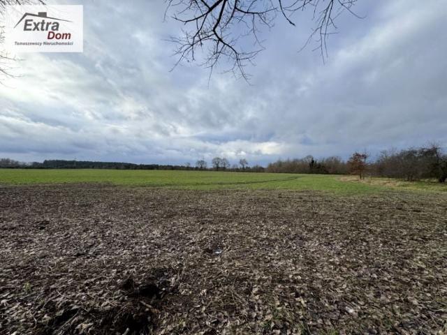 Działka 948 m², Bielikowo