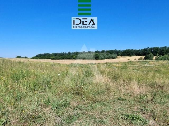 Działka 950 m², Zielonczyn