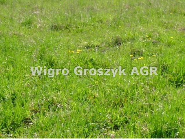 Działka 956 m², Dziekanów Leśny