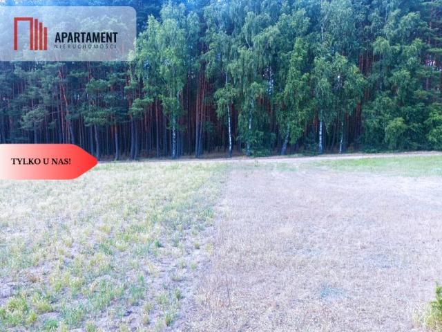 Działka 963 m², Lubiewice