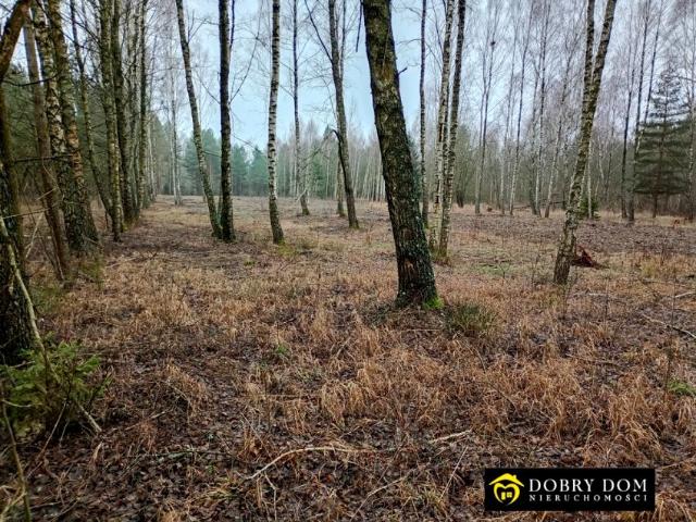 Działka 960 m², Bołtryki