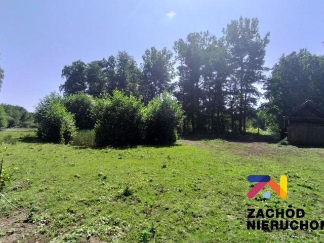 Działka 9646 m² z stawem, lasem i mediami, blisko Zielonej Góry