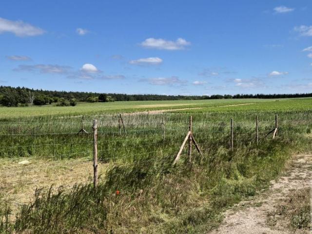 Działka 964 m², Krążkowo