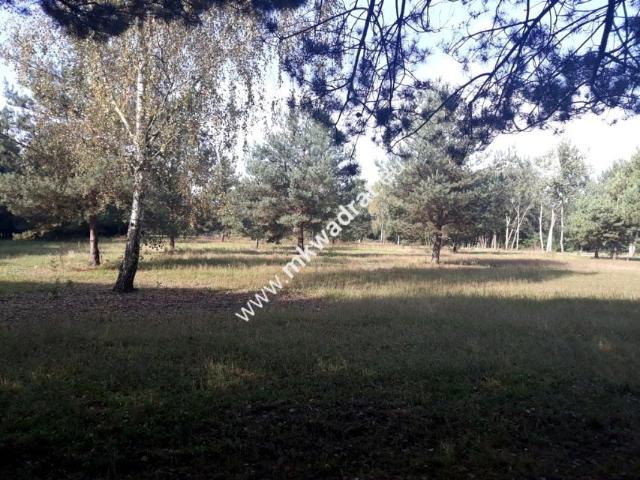 Działka 970 m², Żółwin