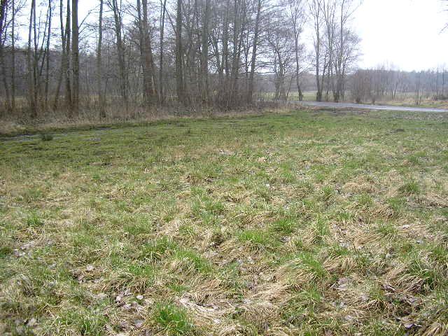 Działka 1 013 m², Dąbrowa