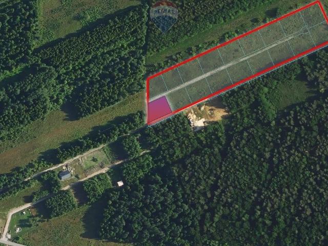 Działka 977 m² w Zakrzowie – spokojna okolica, media, plan zabudowy
