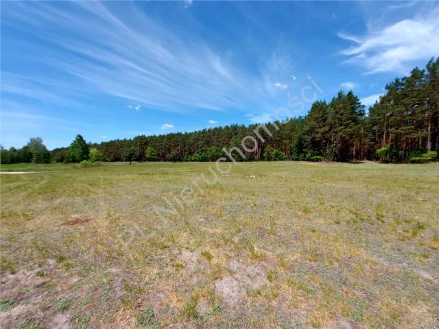 Działka 976 m², Ostrówek