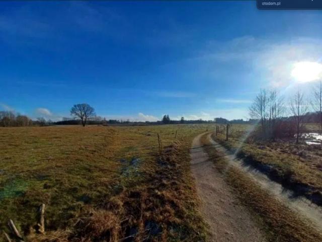 Działka 980 m², Kołtki
