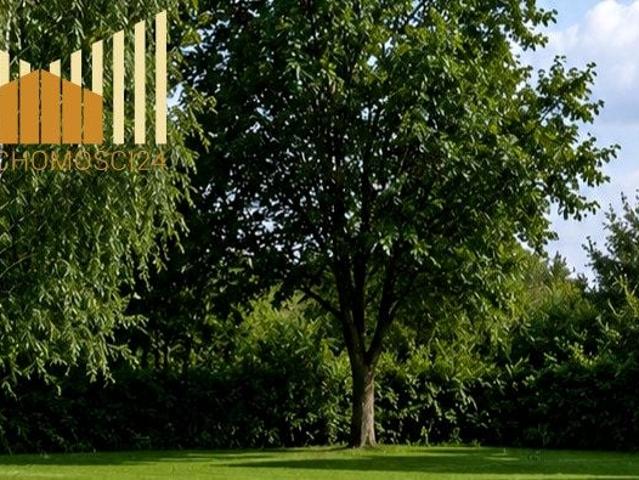 Działka 993 m², Trzcinka