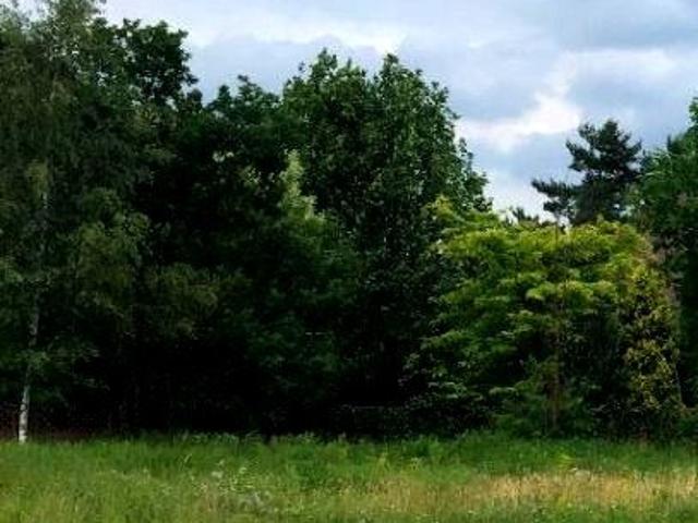 Działka 993 m² w Trzcince poświętne z warunkami zabudowy