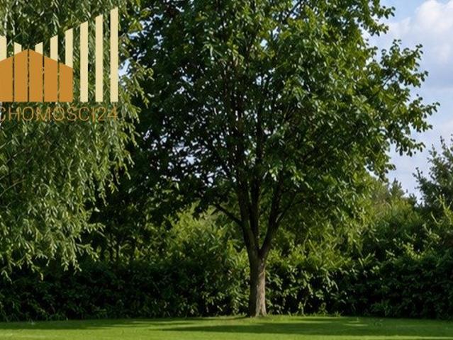Działka 993 m² w Trzcince z WZ i prądem polecam