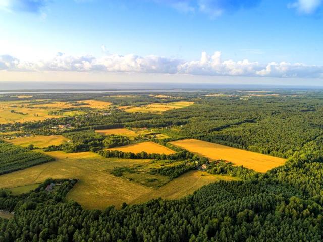 Działka 991 m², Szczenurze