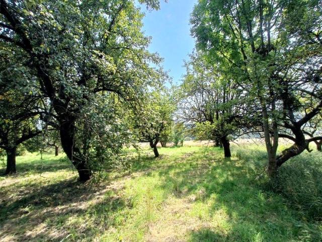 Działka 992 m², Ustroń