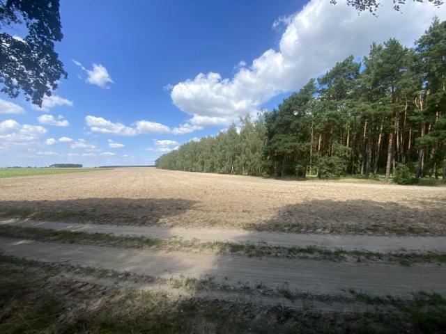 Działka 995 m², Niemojewko