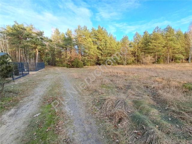 Działka 996 m², Czarnocin