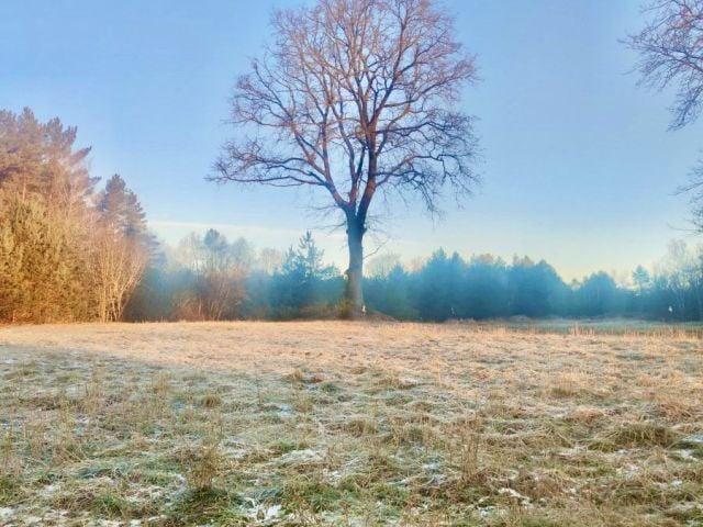 Działka 999 m², Pobierowo