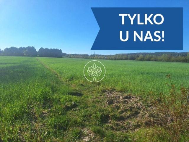 Działka 999 m², Serock