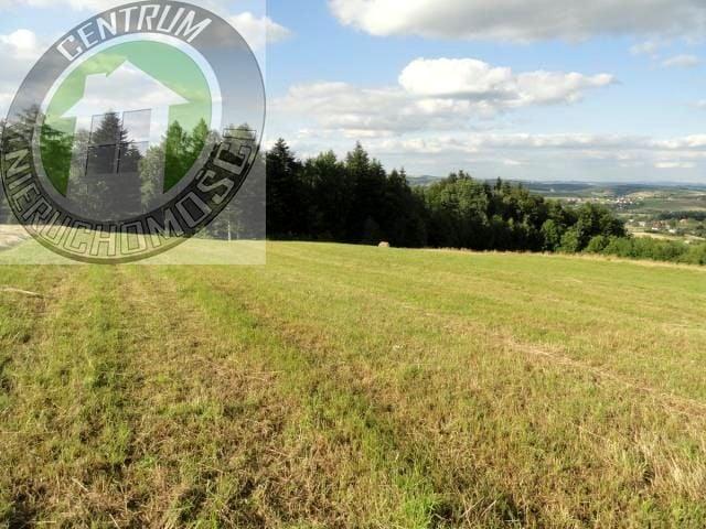 Działka 900 m², Mogilno