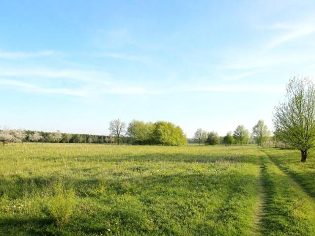 Działka 900 m², Radwanówka