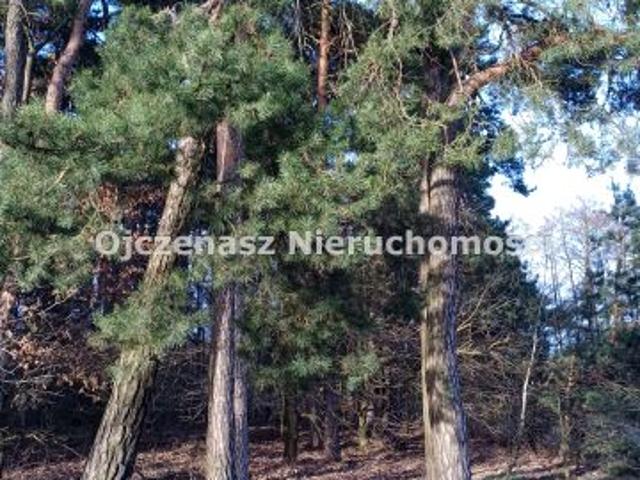 Działka 900 m², Toporzysko