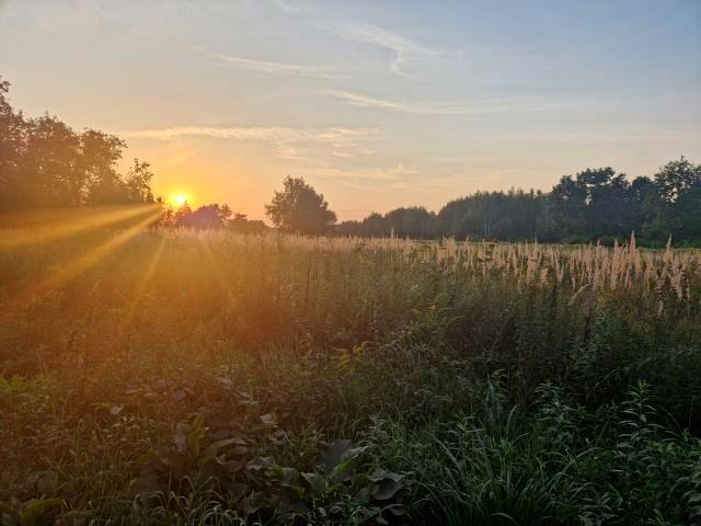 Działka 900 m², Zagościniec