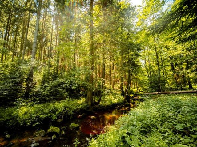 Działka 904 m², Szczytna