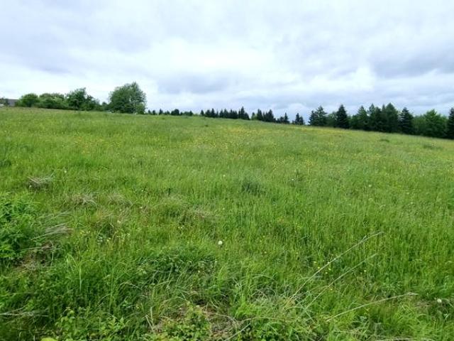 Działka 912 m², Mogilno