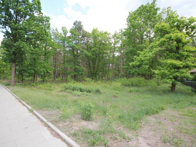 Do sprzedania działka 914 m² z pięknym starodrzewem w Wawrze