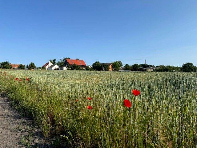 Działka 925 m², Kunowo