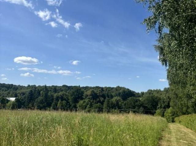 Działka 9 000 m², Czułów